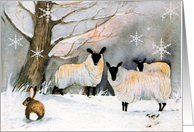 Christmas Sheep
