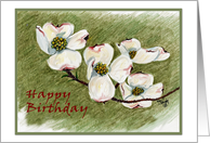 Dogwood Birthday