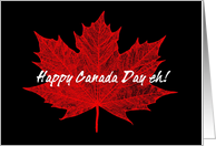 Happy Canada Day eh!