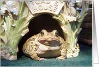 Max the Toad ......