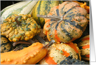 Colorful Gourds...