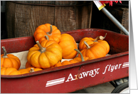 Gourds In Wagon...
