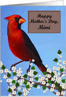 Mimi / Happy Mother...