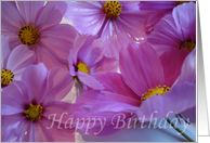 Purple Flowers -...