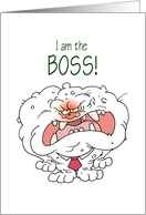 I am the BOSS!