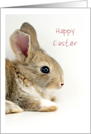 Easter Baby Bunny -...