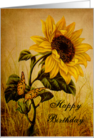 Birthday - Sunflower...