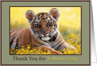 Thank You Volunteer...