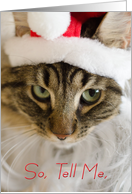 Santa Cat In Hat...
