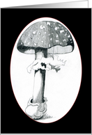 Mushroom 1A