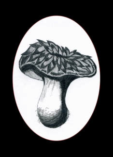 Mushroom 1B