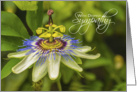 Passion Flower Deepest Sympathy card