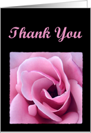 Thank You with Pink...