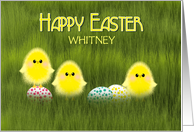 Whitney Custom Name Easter Cute Chicks in Green Grass Speckled Eggs card