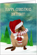 Christmas Day Birthday Santa Gerbil in Winter Scene card