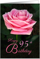 Pink Rose 95th...