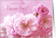 Our Flower Girl...