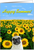 Happy Summer pug