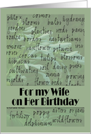 Wife on Birthday -...