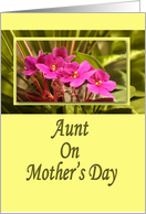 Aunt on Mother's Day...