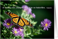 Monarch Butterfly On...