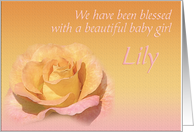 Lily's Exquisite...