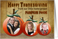 Thanksgiving, Family Pumkin Patch Photo Insert card