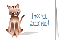Miss You - Kitty Cat...