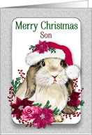 Christmas SON Bunny...