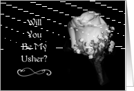 Will You Be My Usher...