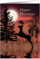 Happy Birthday, Deer...