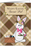 Easter,Secret Pal,...