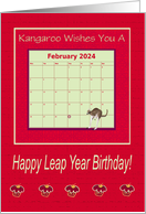 Happy Leap Year...