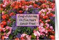 5 Years Cancer Free