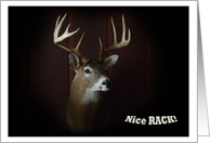 Nice Rack ~ Deer...