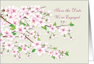 Save the date, Engagement Party - Cherry blossom (Sakura) card