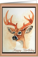 Watercolor Deer...