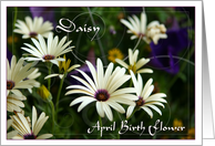 April Birth Flower...