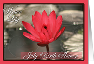 July Birth Flower...