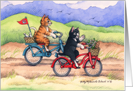 Bicycle Riding Cats...