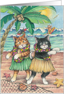 Cats Doing Hawaiian...