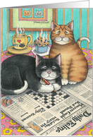 Cats Doing Crossword...