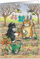 Cats Gardening...