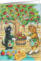 Cats Apple Picking...
