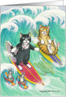 Cats Surfing...
