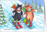 Cats On Skis &...