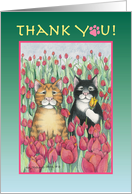 Thank You Tulips...