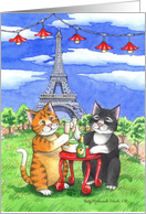 Cats In Paris...