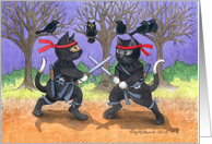 Ninja Cats Happy...