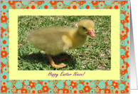 Niece Happy Easter -...